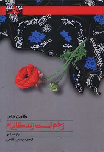 زخم است زندگانی ام 