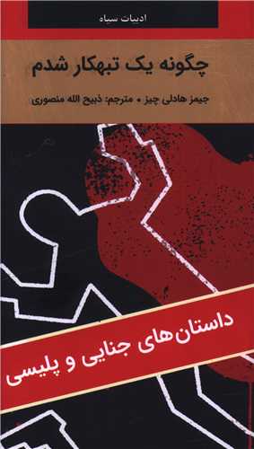 چگونه یک تبهکار شدم (پالتویی)