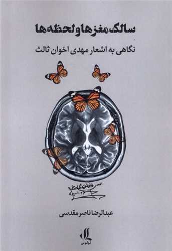 سالک مغزها و لحظهها