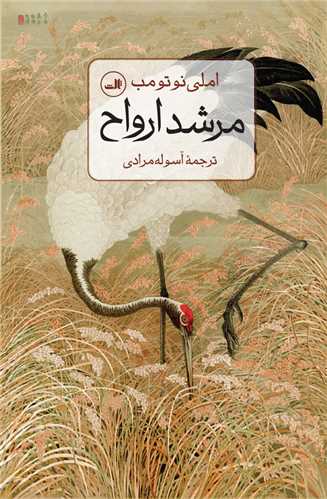 مرشد ارواح 