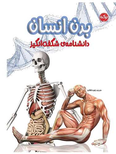 دانشنامه ي شگفت انگيز بدن انسان (رحلي)(برکه)