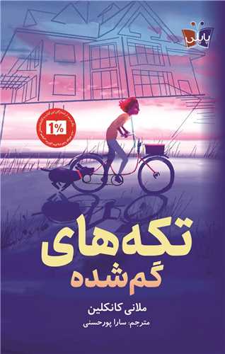 تکه ‌های گم ‌شده 
