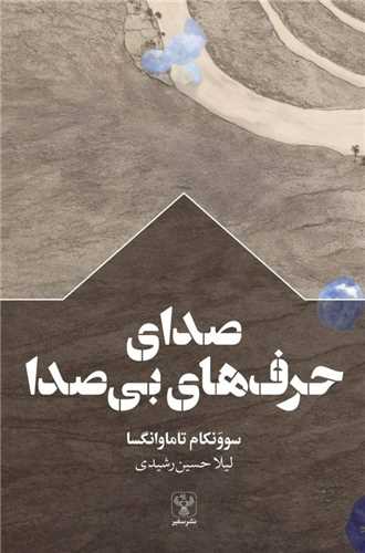 صدای حرفهای بی صدا 