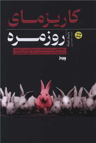 کاریزمای روزمره 