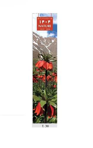 تقویم دیواری 1404 (T 30)(6 برگی باریک)(لاله واژگون)