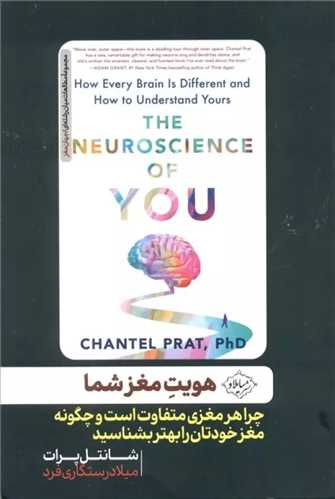 هویت مغز شما