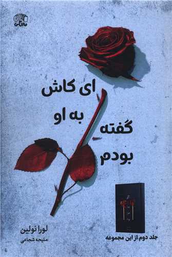 ای کاش به او گفته بودم