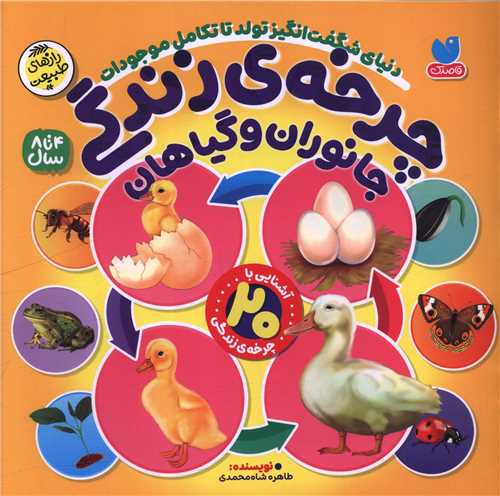 چرخه زندگی (جانوران و گیاهان)(خشتی)