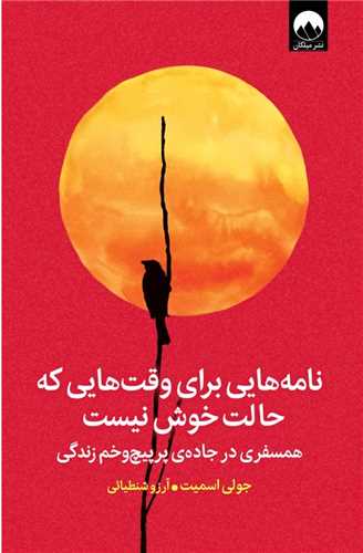 نامه ‌هايي براي وقت‌ هايي که حالت خوش نيست (ميلکان)