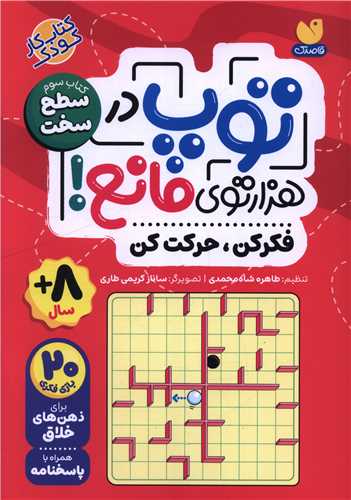 توپ در هزار توی مانع (کتاب سوم)(سطح سخت)