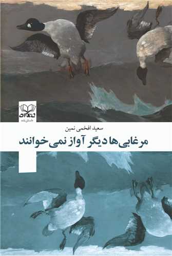 مرغابیها دیگر آواز نمیخوانند 