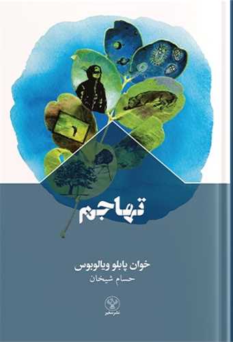 تهاجم (سفير)