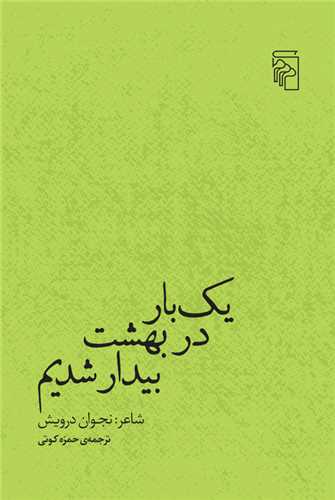یک بار در بهشت بیدار شدیم (پالتویی)