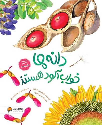 دانه ها خواب آلود هستند (مهرسا)