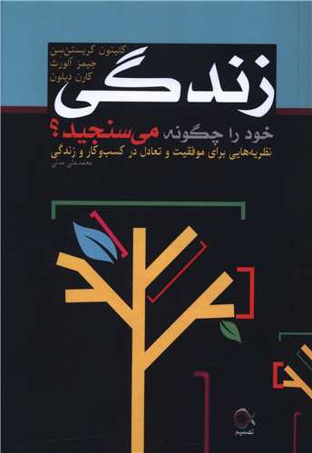 زندگي خود را چگونه مي سنجيد (تصميم)