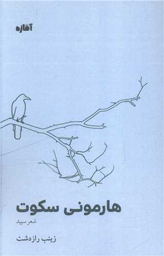 هارموني سکوت (آماژه)