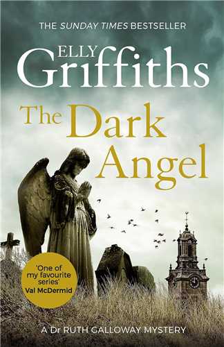 Dark Angel فرشته تاريکي (شبکه تجهيز دانش)