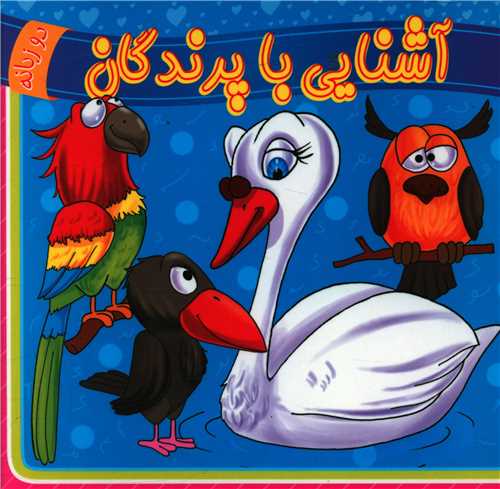 آشنایی با پرندگان (خشتی)