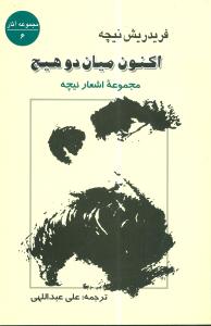 اکنون ميان دو هيچ (جامي)