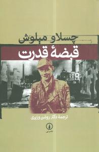 قبضه قدرت (ني)
