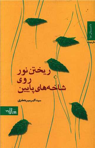 ریختن نور روی شاخه های پایین 
