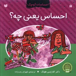 احساسات کوچک (احساس یعنی چه)(تحقیقات ذکر)