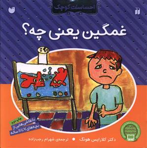 احساسات کوچک (غمگین یعنی چه)(تحقیقات ذکر)