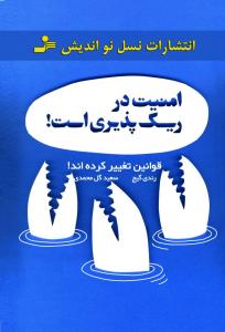 امنیت در ریسک پذیری 