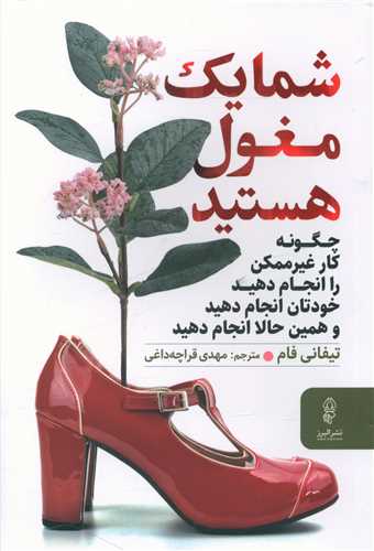 شما یک مغول هستید 