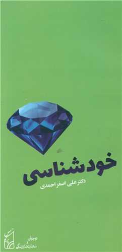 خود شناسی (پالتویی)