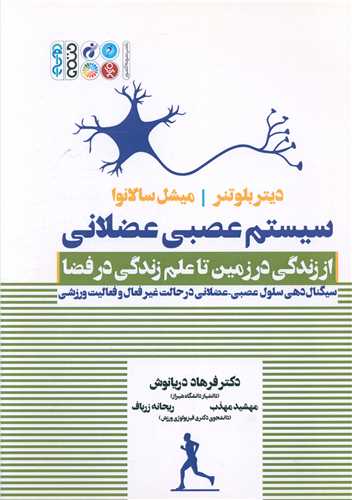 سیستم عصبی عضلانی