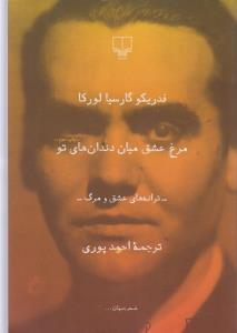 مرغ عشق ميان دندان هاي تو (چشمه)