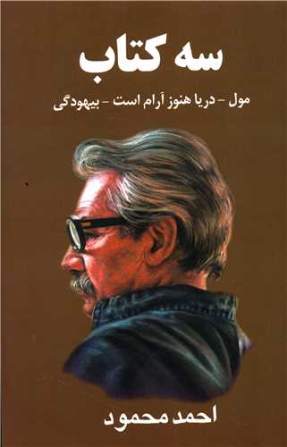 سه کتاب (معين)
