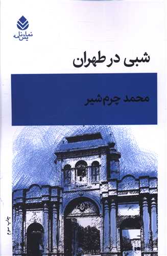 شبی در طهران 