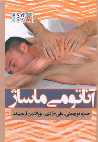 آناتومی ماساژ