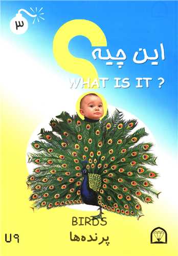 این چیه (پرنده ها)