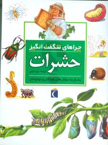 چراهای شگفتانگیز (حشرات)