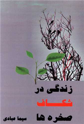 زندگی در شکاف صخره ها 