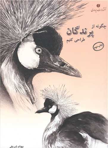 چگونه از پرندگان طراحي کنيم (يساولي)