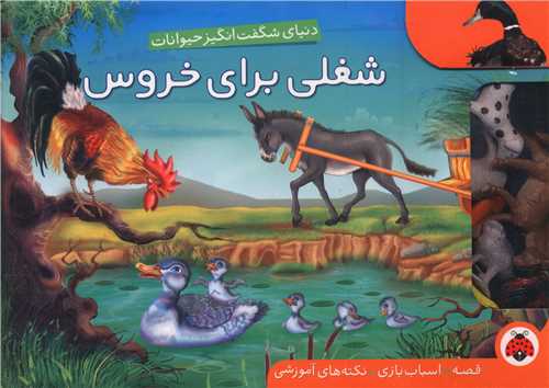 دنیای شگفت انگیز حیوانات (شغلی برای خروس)(شهر قلم)