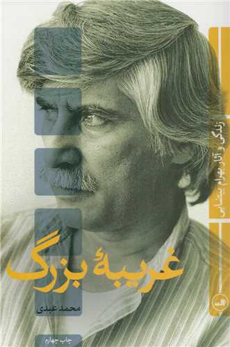 غریبه بزرگ 