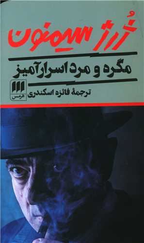 مگره و مرد اسرار آمیز (کارآگاه)
