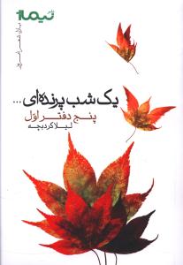 پازل شعر امروز (یک شب پرنده ای)
