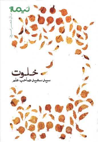 پازل شعر امروز (خلوت)(نيماژ)