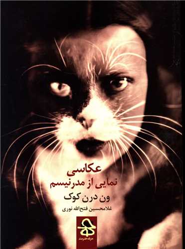 عکاسي نمايي از مدرنيسم (حرفه هنرمند)