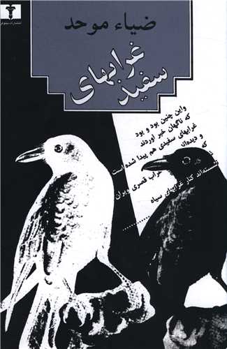 غرابهای سفید 