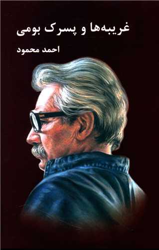 غریبهها و پسرک بومی