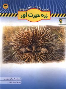 تهاجم و دفاع (3)(زره حیرت آور)