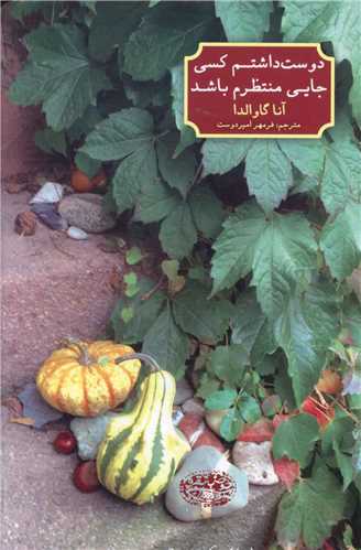 دوست داشتم کسی جایی منتظرم باشد 