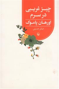 چیز غریبی در سرم 